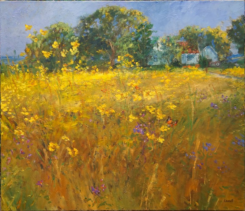 217630 Field of Wildflowers