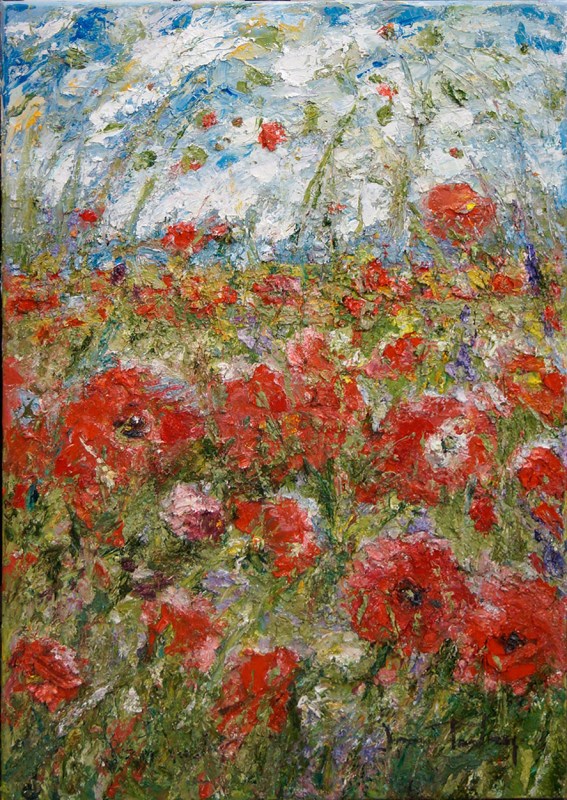 218896 Red Poppyfield